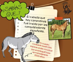 Imagen de una ficha con una foto de un caballo actual del lado derecho. En el rincón izquierdo inferior hay una ilustración de un caballo extinto.