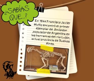 Ficha didáctica sobre el tigre dientes de sable