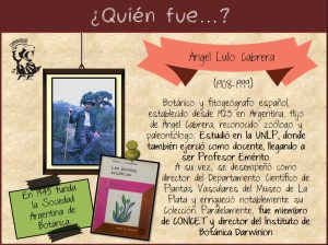 Ficha didáctica sobre Ángel Lulio Cabrera.