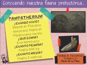Ficha didáctica de Pampatherium