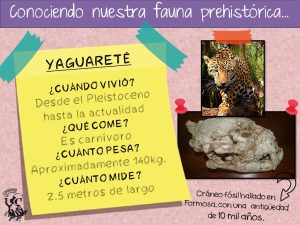 Ficha didáctica del yaguareté
