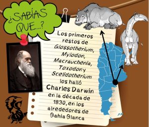 Ficha didáctica sobre fósiles hallados por Darwin en Argentina