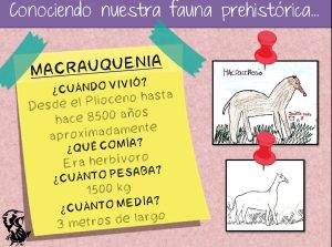 Ficha didáctica de la macrauquenia.