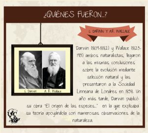 Ficha didáctica sobre Darwin y Wallace