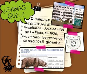 Ficha didáctica sobre el hallazgo de un oso fósil.