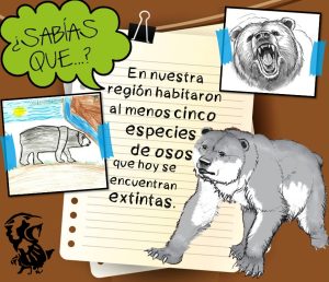Ficha didáctica sobre osos extintos